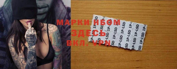 спайс Богданович