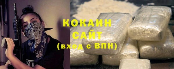 спайс Богданович
