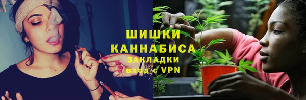 спайс Богданович