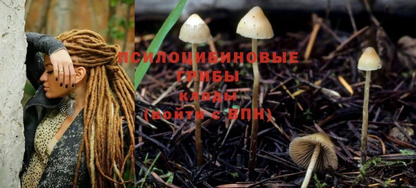 гашиш Богородск