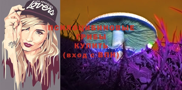 спайс Богданович