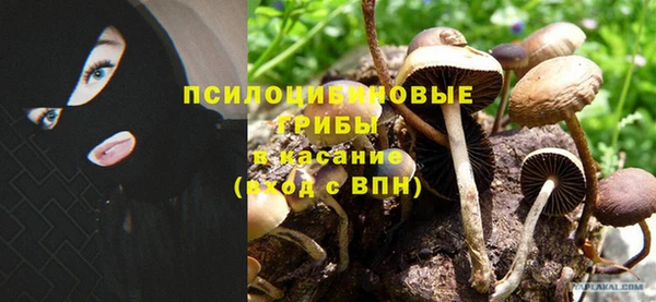 кокаин перу Богородицк