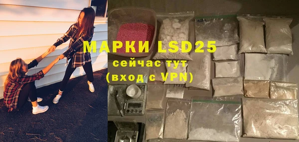 спайс Богданович
