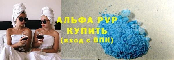 спайс Богданович