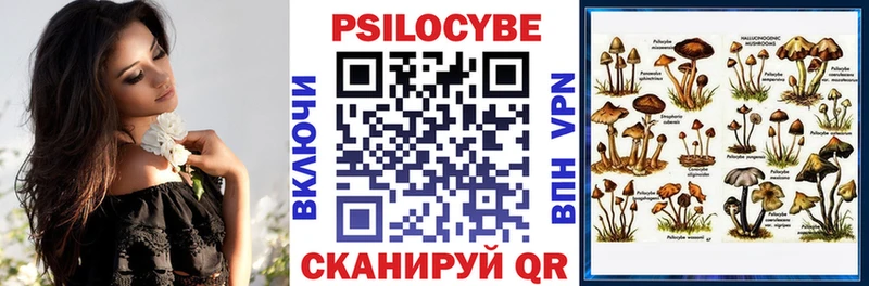 Псилоцибиновые грибы Cubensis  гидра tor  Невьянск 